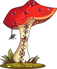 mashrom